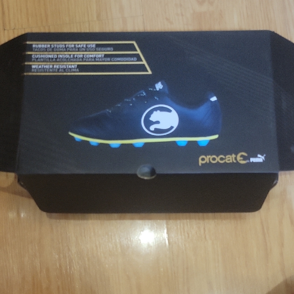 Puma Procat Men's Black Soccer Shoes